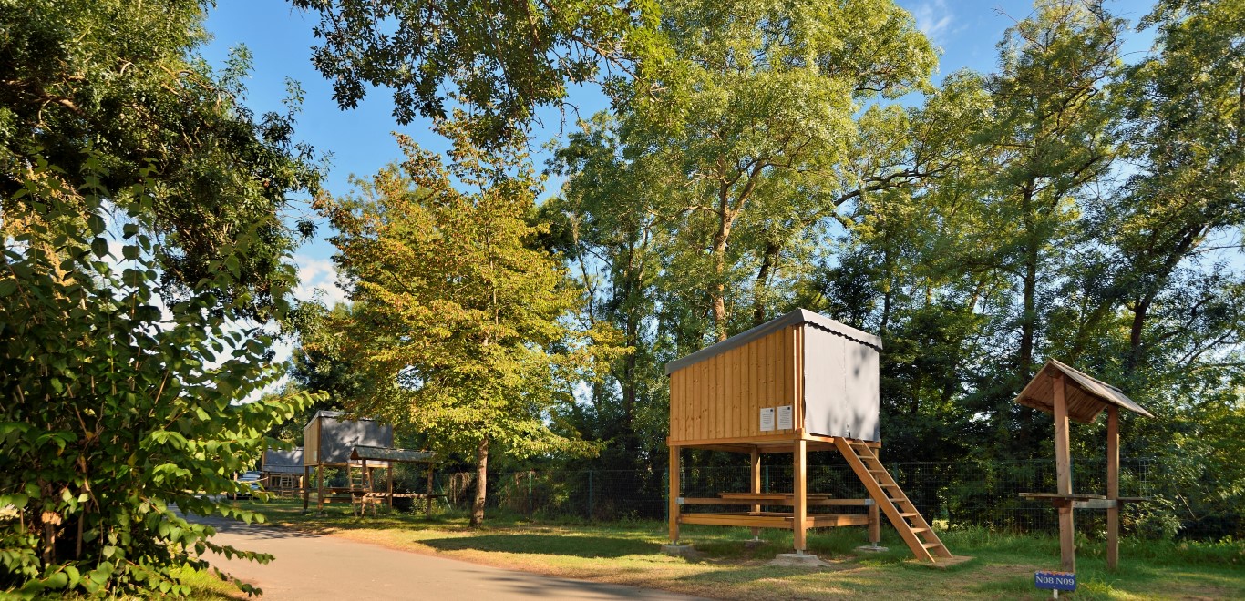 Campétoile : cabane en bois sur pilotis avec couchage d’appoint, banc et table, sans électricité